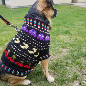 Arcade Nights Dog Sweater