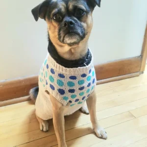 Dottie Dog Sweater