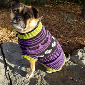 This is Halloween Dog Sweater