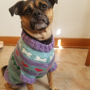 My Favourite Things Dog Sweater