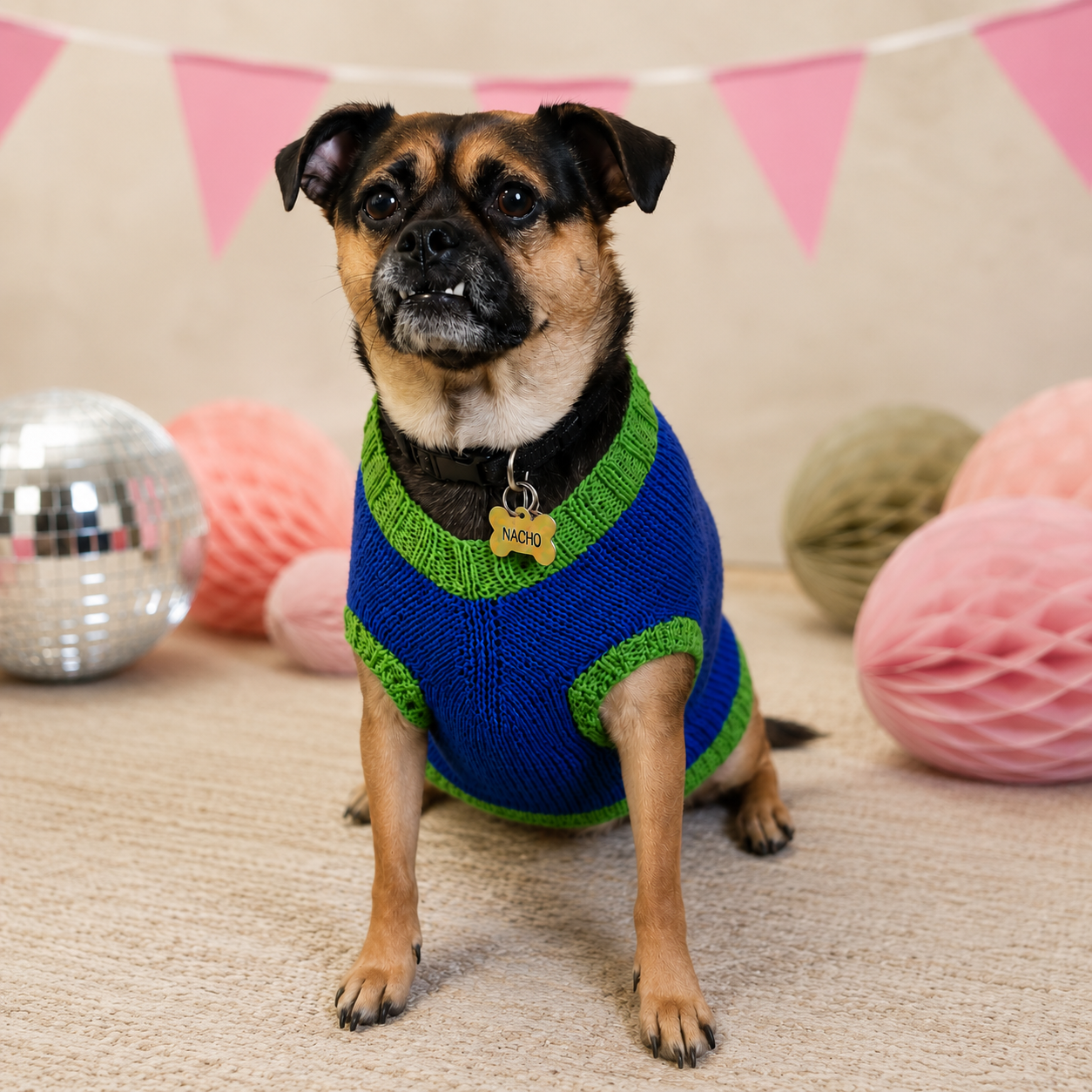 The Dog Sweater Vault - Image 17