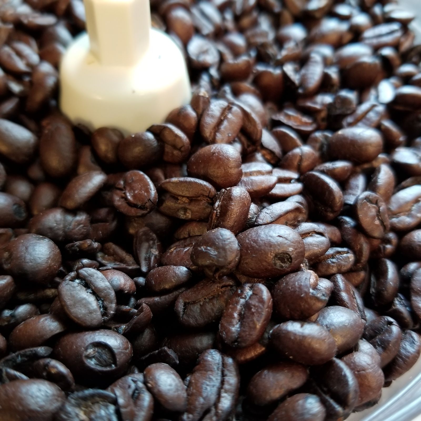 Coffee beans ready to grind