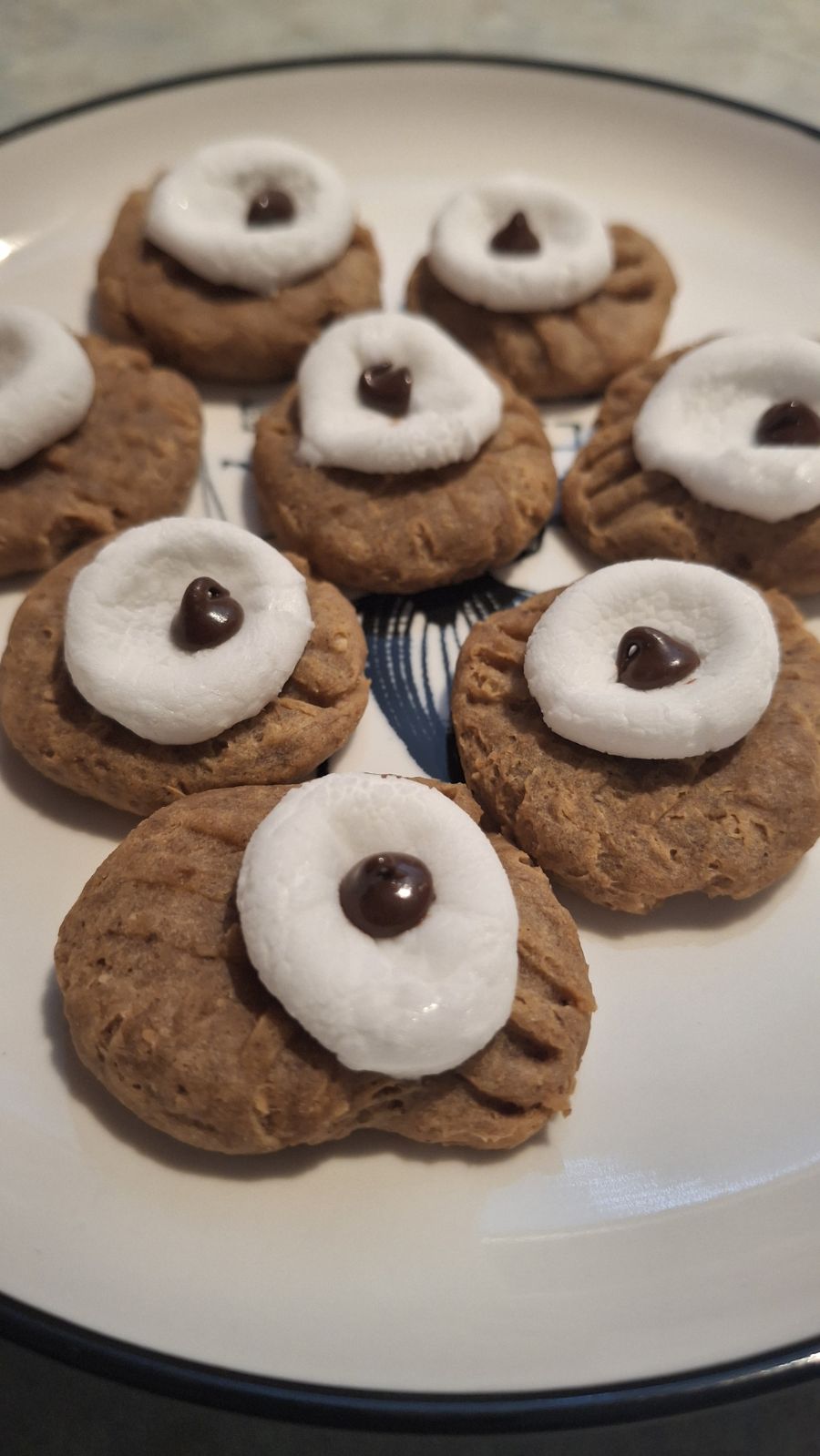 Cookies topped with marshmallows and chocolate chips