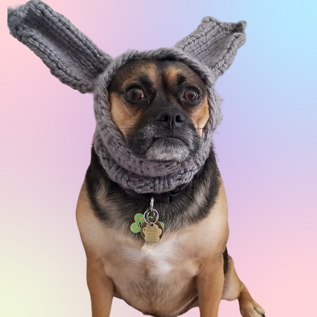 Bunny Love Dog Snood