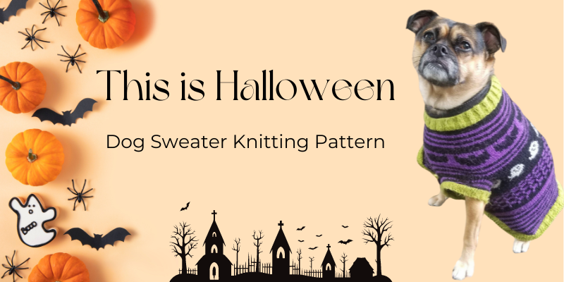 Halloween dog sweater